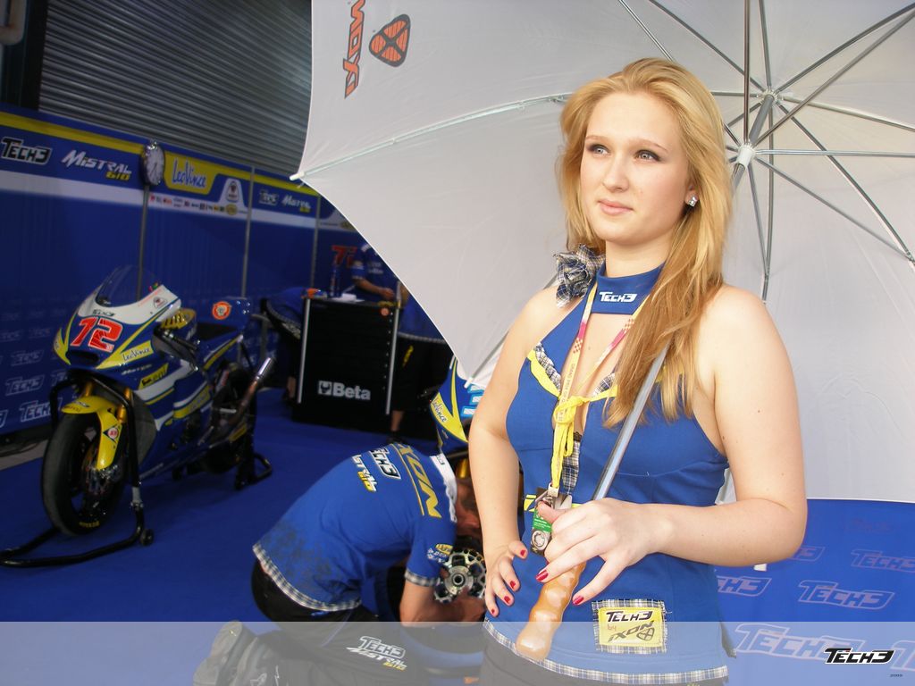 Źródło: attapirati.com