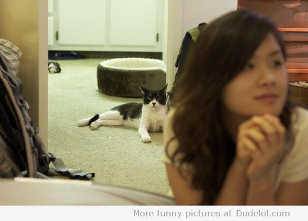 Źródło: www.dudelol.com