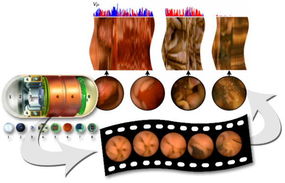 Źródło: med.p.lodz.pl
