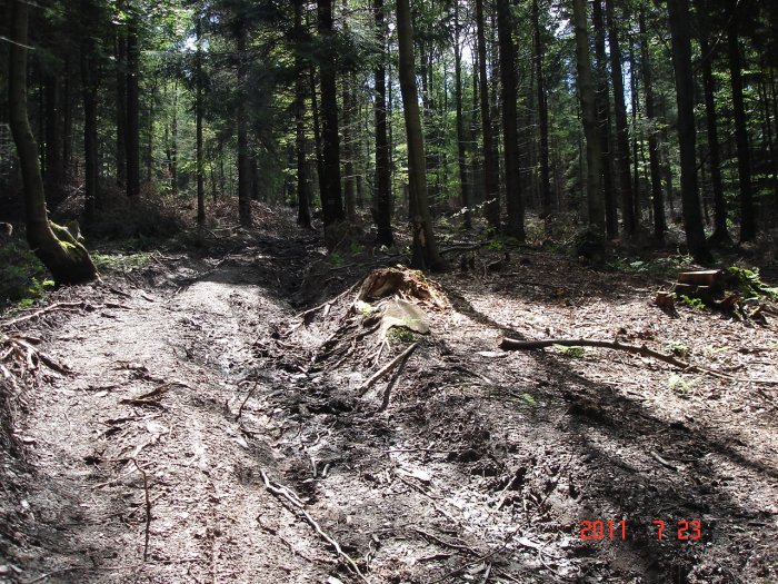 Źródło: www.planetagor.pl