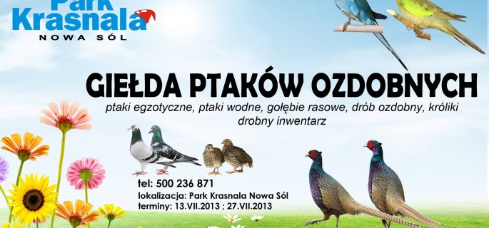 Źródło: nowosolskie.info